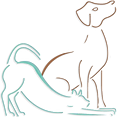 BaysideKennelsLogo_no words.png